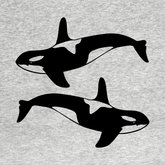 killer whale by Polli